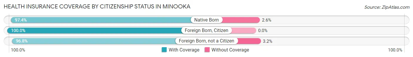 Health Insurance Coverage by Citizenship Status in Minooka