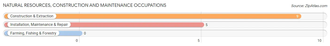 Natural Resources, Construction and Maintenance Occupations in Modesto