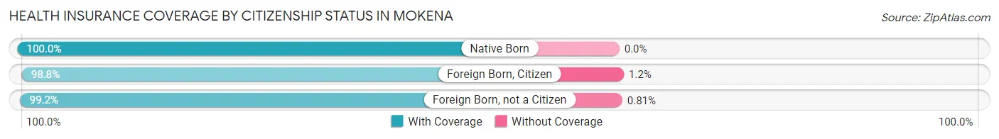 Health Insurance Coverage by Citizenship Status in Mokena
