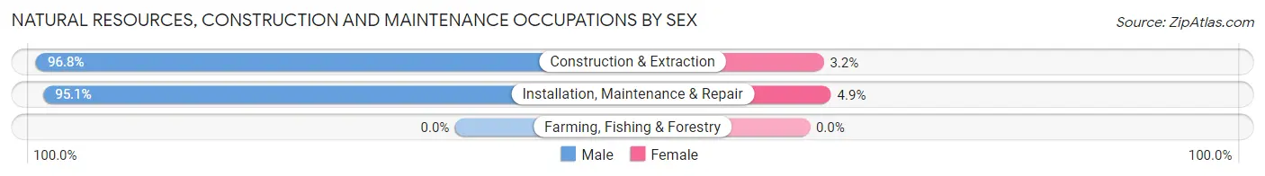 Natural Resources, Construction and Maintenance Occupations by Sex in Mokena