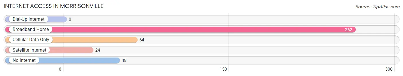 Internet Access in Morrisonville