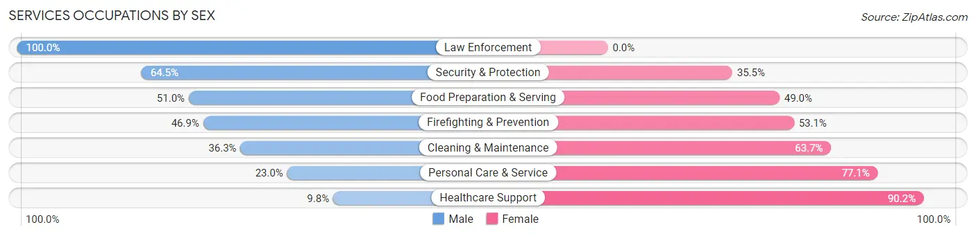 Services Occupations by Sex in Morton Grove
