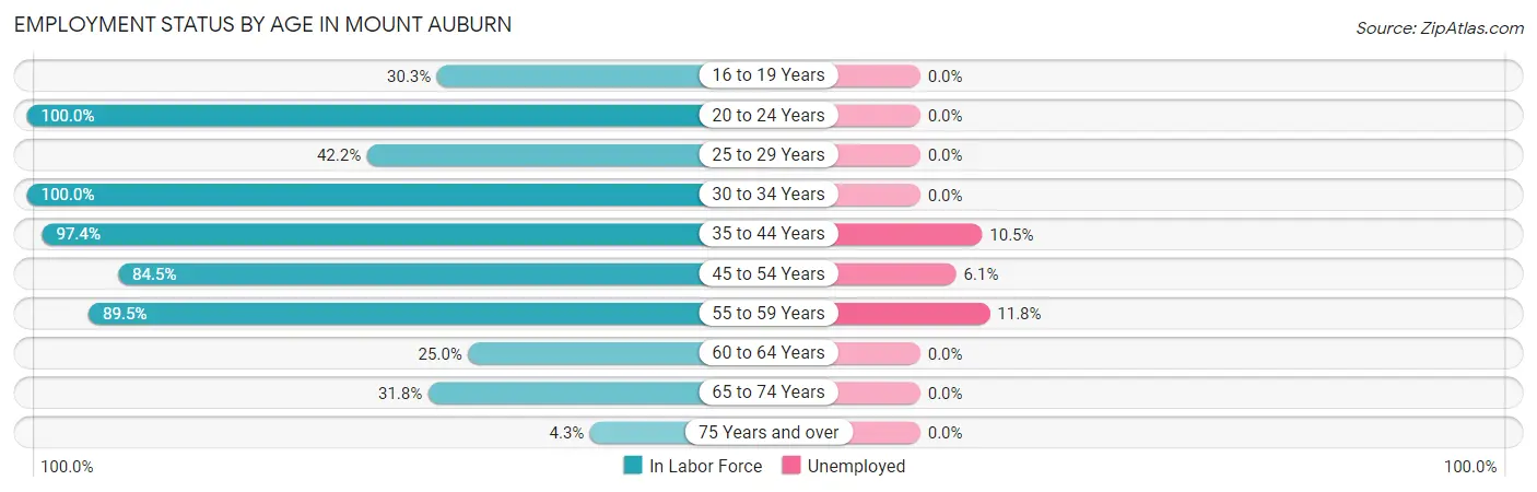 Employment Status by Age in Mount Auburn