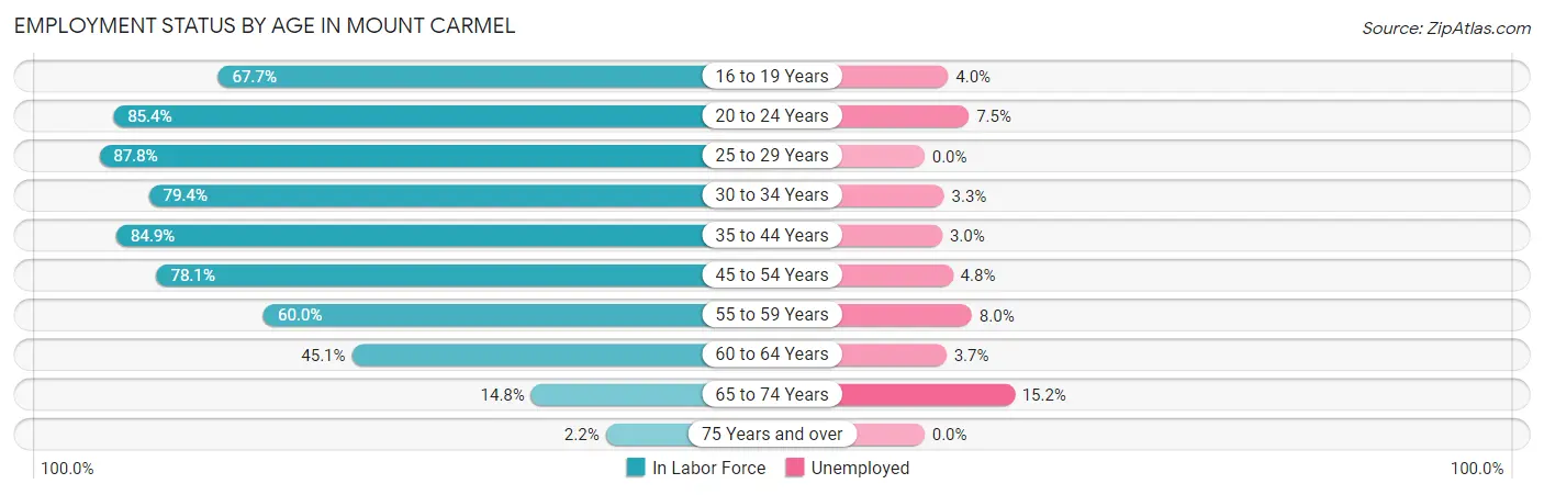 Employment Status by Age in Mount Carmel