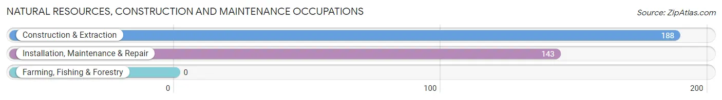 Natural Resources, Construction and Maintenance Occupations in Mount Carmel