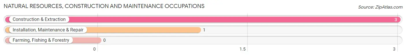 Natural Resources, Construction and Maintenance Occupations in Mount Erie