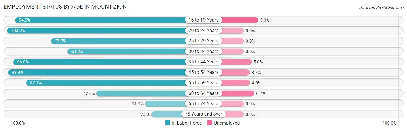 Employment Status by Age in Mount Zion