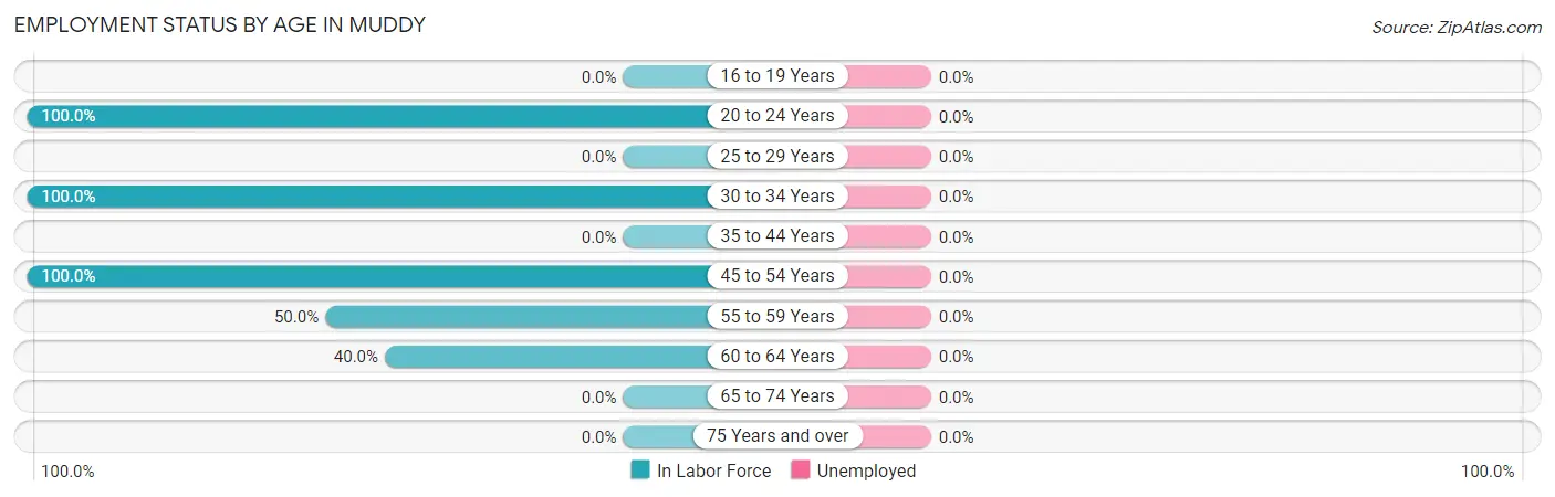 Employment Status by Age in Muddy