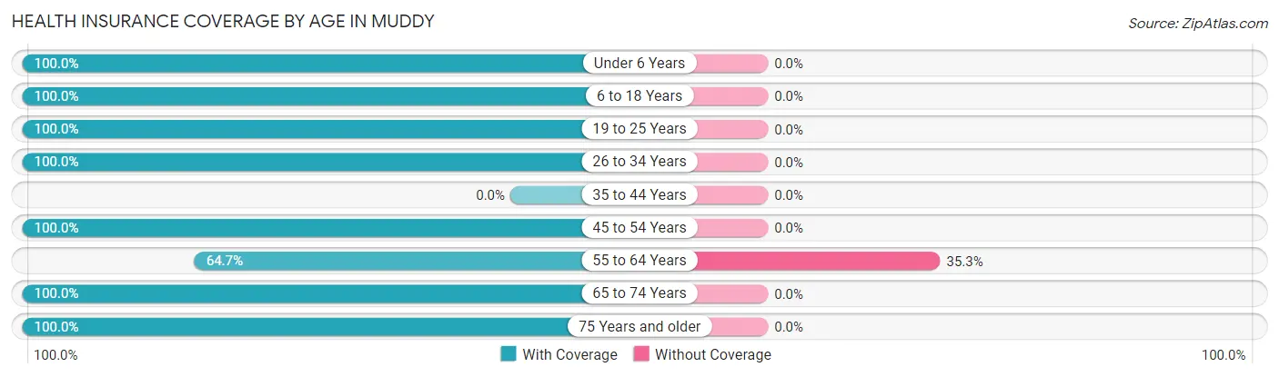 Health Insurance Coverage by Age in Muddy