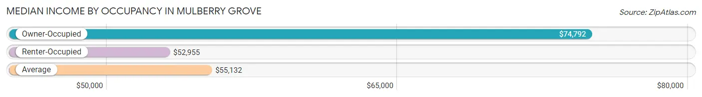 Median Income by Occupancy in Mulberry Grove