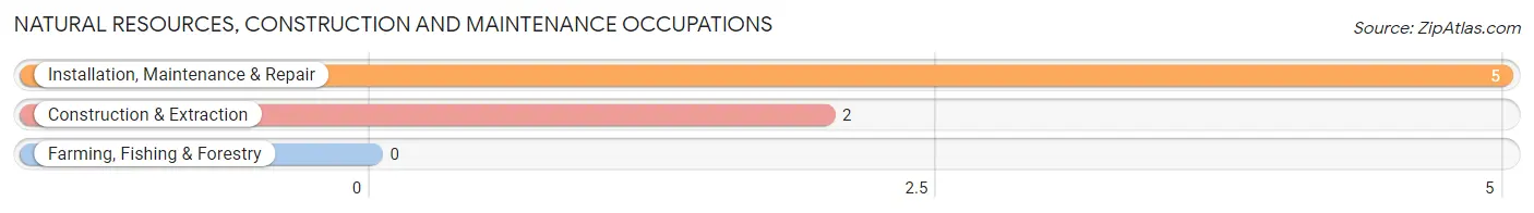 Natural Resources, Construction and Maintenance Occupations in Nelson