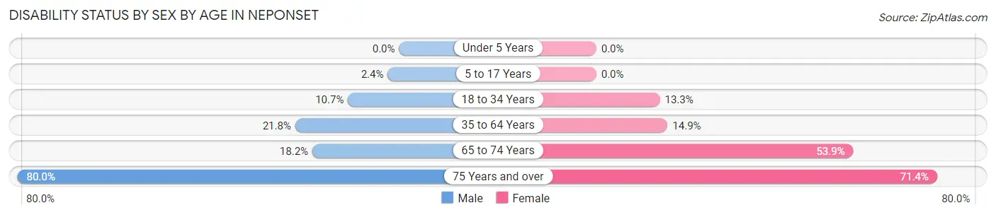 Disability Status by Sex by Age in Neponset