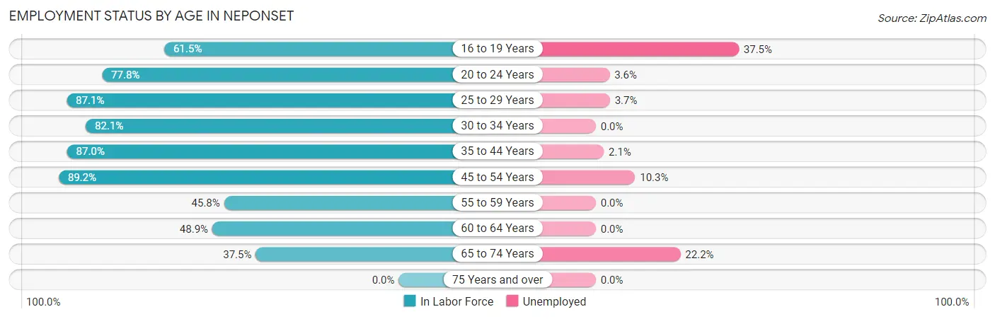 Employment Status by Age in Neponset