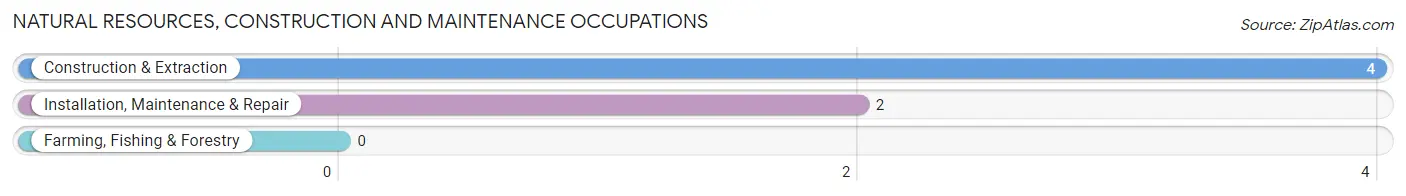 Natural Resources, Construction and Maintenance Occupations in New Bedford