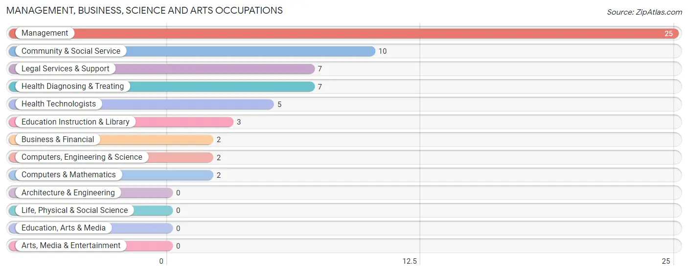 Management, Business, Science and Arts Occupations in New Boston