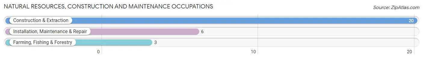 Natural Resources, Construction and Maintenance Occupations in New Boston