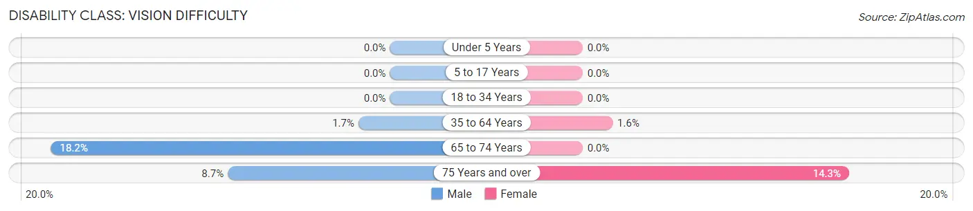 Disability in New Boston: <span>Vision Difficulty</span>