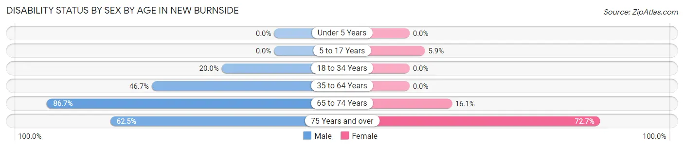 Disability Status by Sex by Age in New Burnside