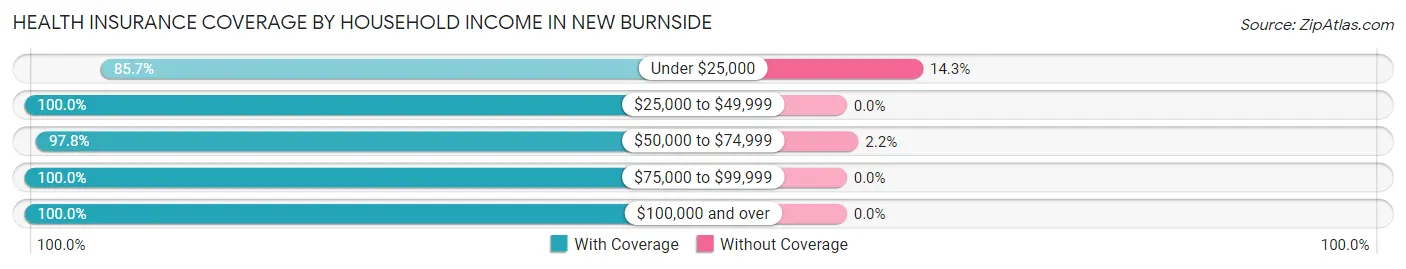 Health Insurance Coverage by Household Income in New Burnside