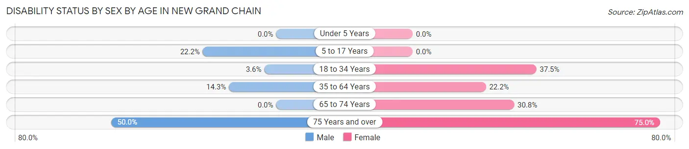 Disability Status by Sex by Age in New Grand Chain
