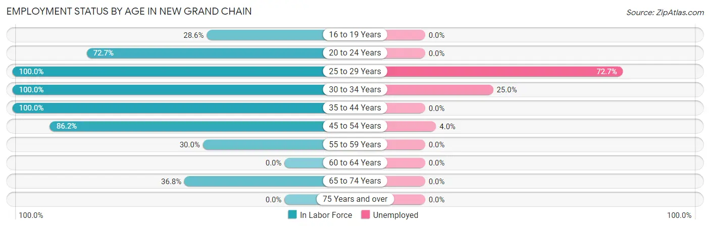 Employment Status by Age in New Grand Chain