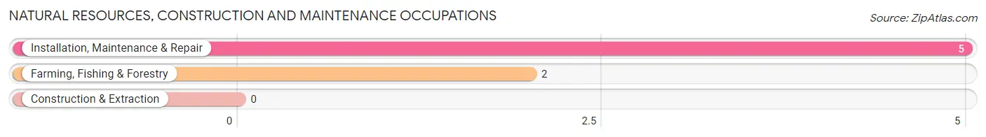 Natural Resources, Construction and Maintenance Occupations in New Haven