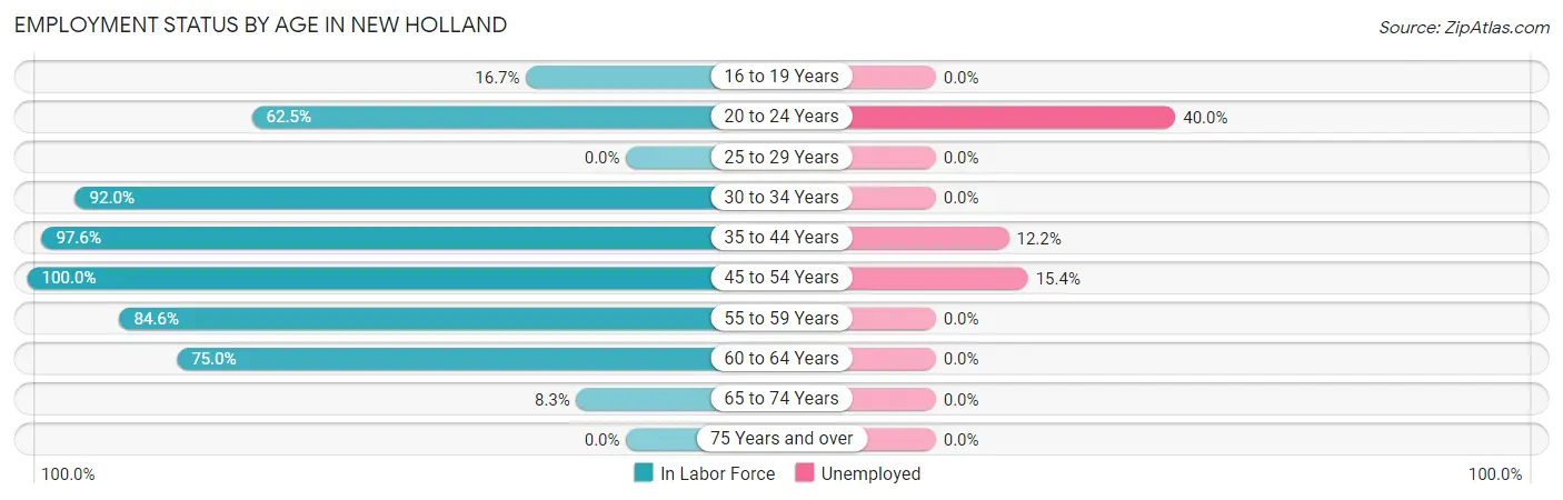 Employment Status by Age in New Holland