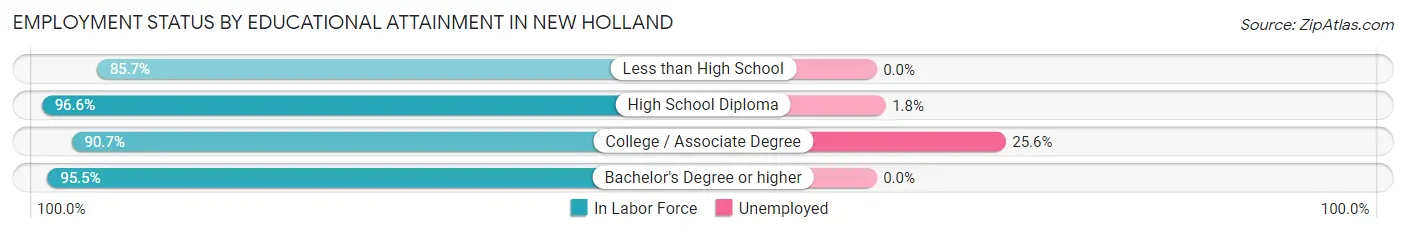 Employment Status by Educational Attainment in New Holland