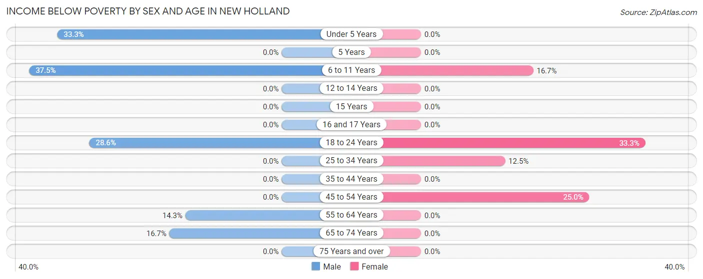 Income Below Poverty by Sex and Age in New Holland
