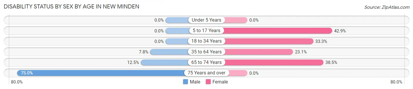 Disability Status by Sex by Age in New Minden