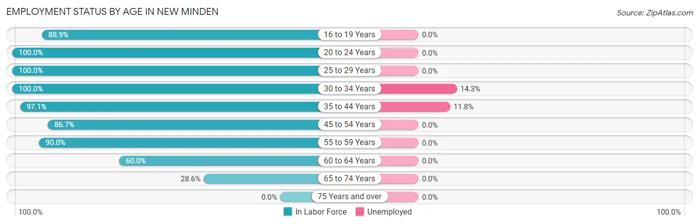 Employment Status by Age in New Minden