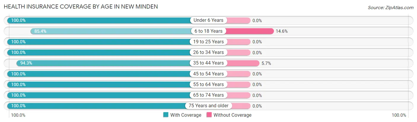Health Insurance Coverage by Age in New Minden