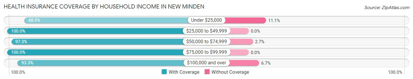 Health Insurance Coverage by Household Income in New Minden