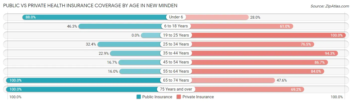 Public vs Private Health Insurance Coverage by Age in New Minden