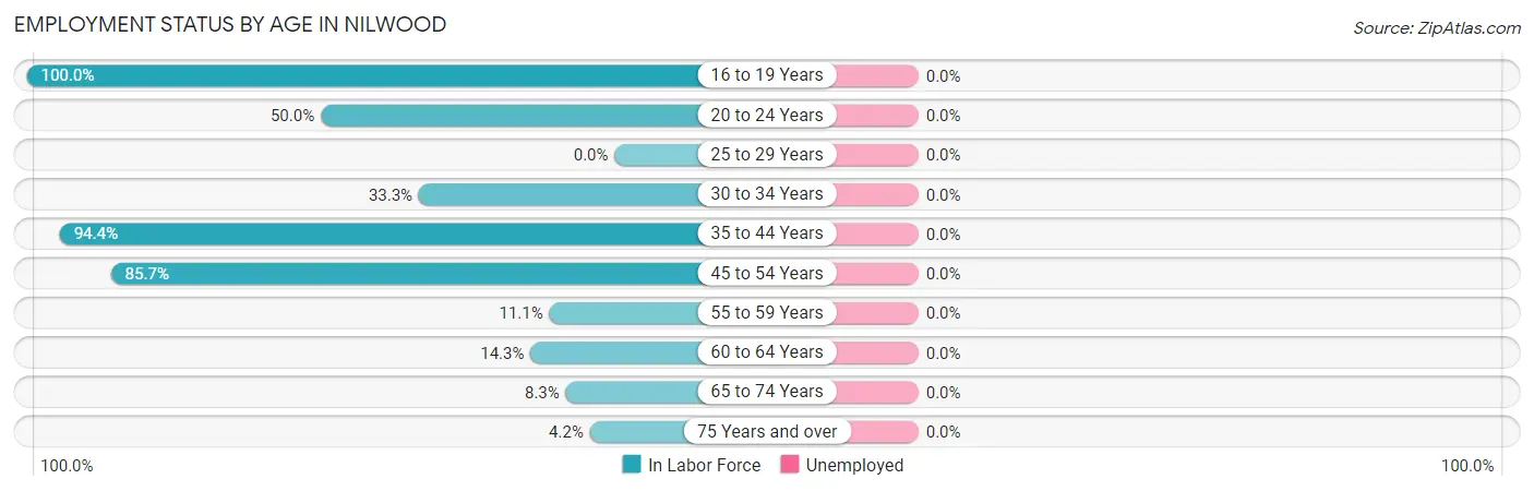 Employment Status by Age in Nilwood