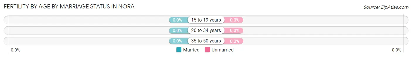 Female Fertility by Age by Marriage Status in Nora