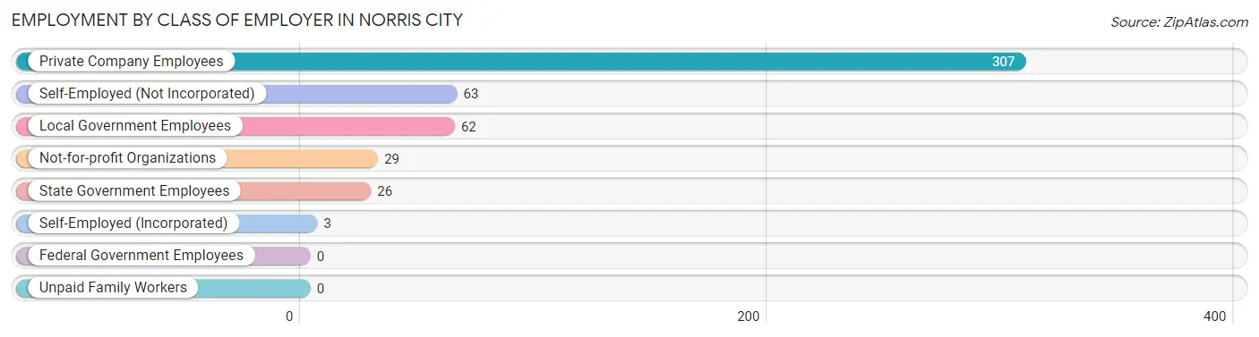 Employment by Class of Employer in Norris City