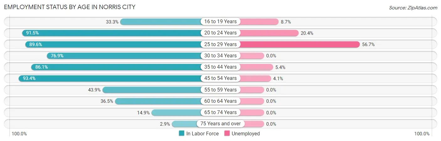 Employment Status by Age in Norris City