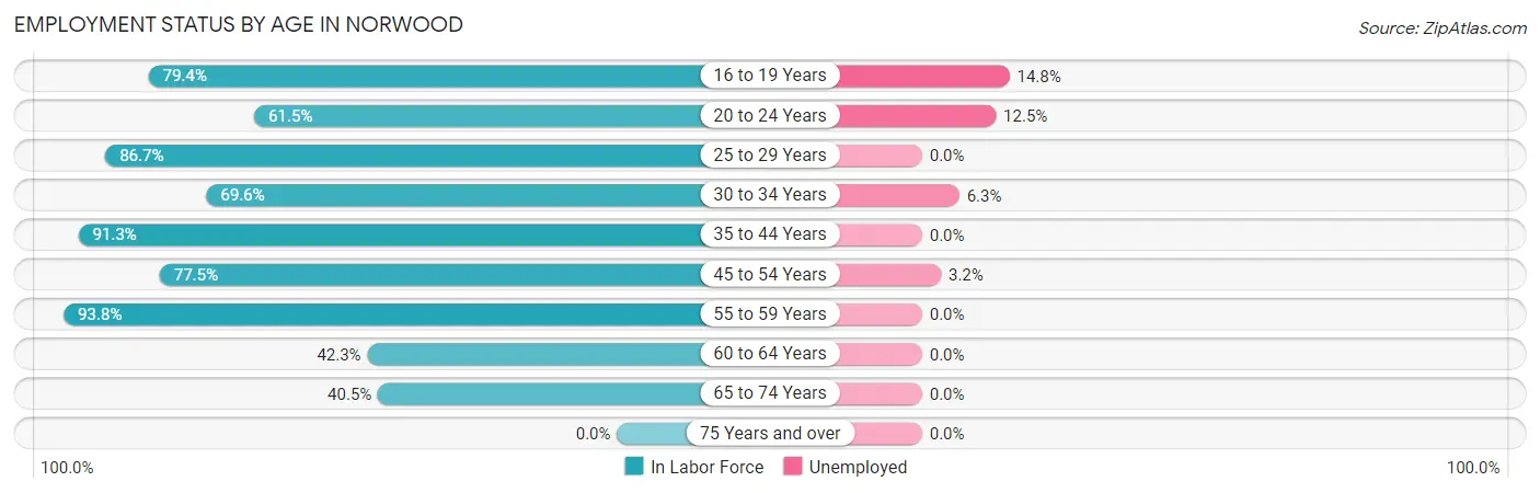 Employment Status by Age in Norwood