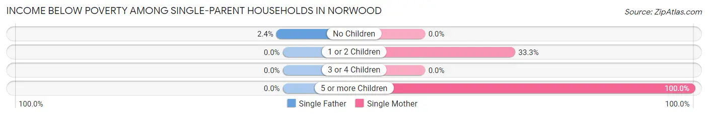 Income Below Poverty Among Single-Parent Households in Norwood