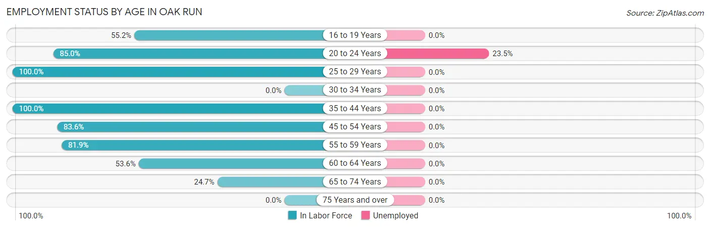 Employment Status by Age in Oak Run