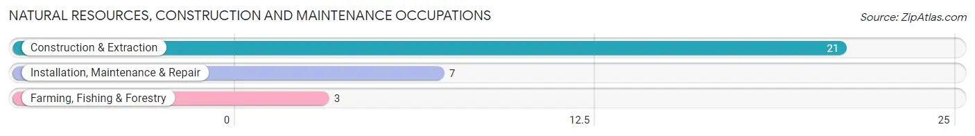 Natural Resources, Construction and Maintenance Occupations in Oakwood