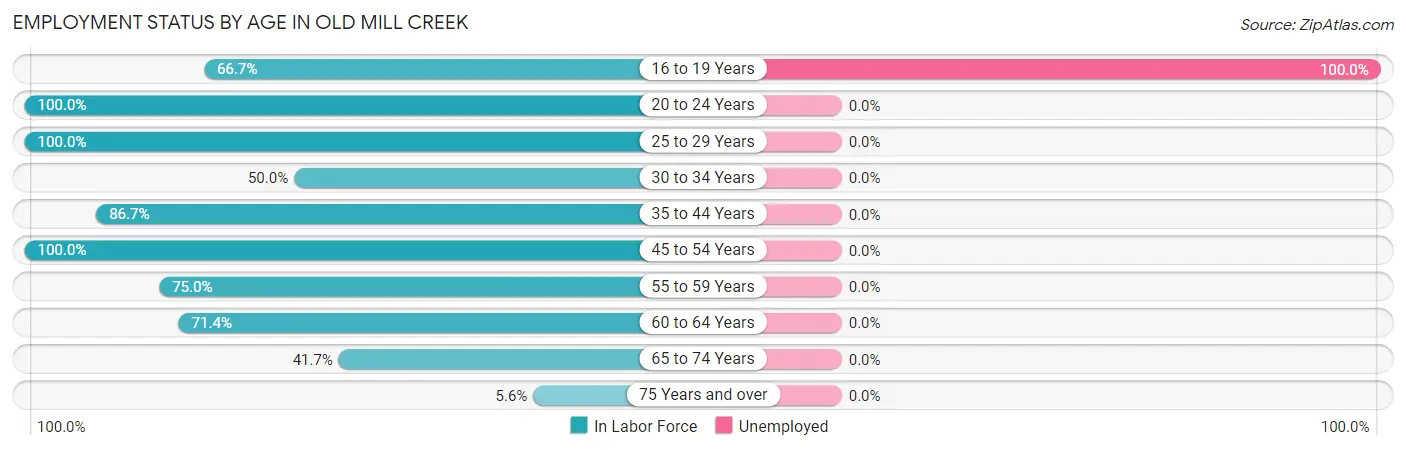 Employment Status by Age in Old Mill Creek