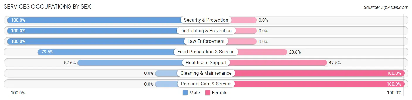 Services Occupations by Sex in Orland Hills
