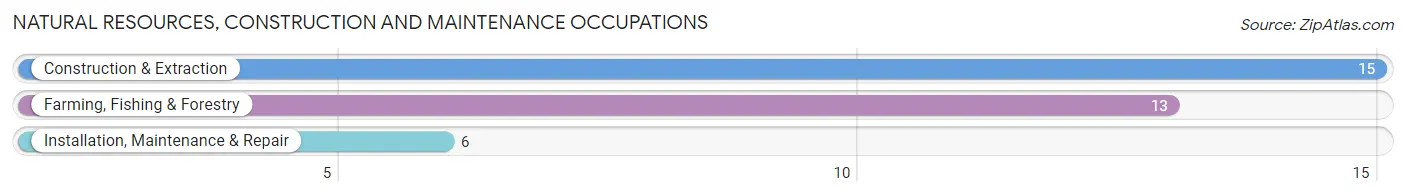 Natural Resources, Construction and Maintenance Occupations in Palmyra