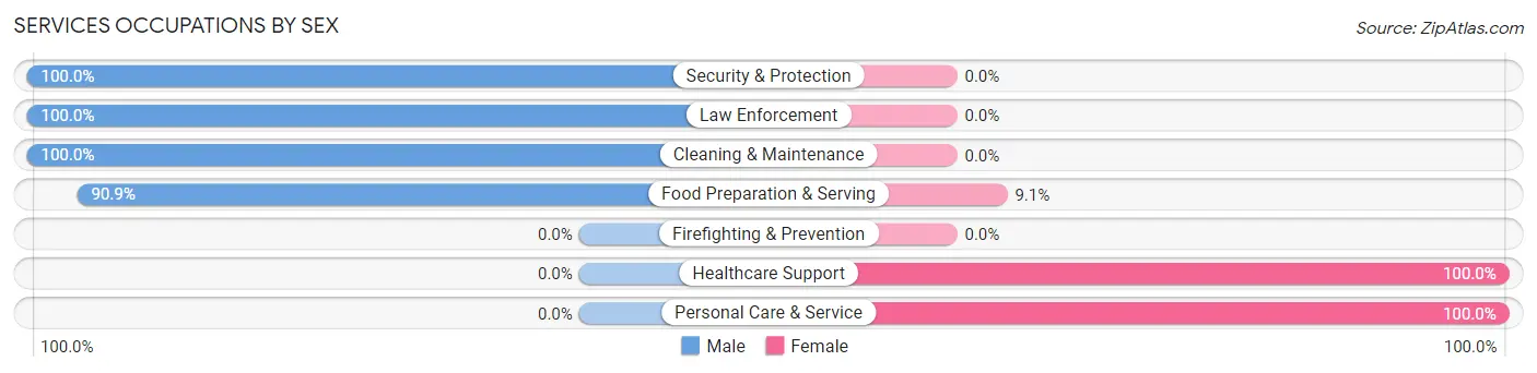 Services Occupations by Sex in Palmyra