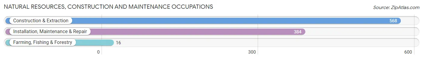 Natural Resources, Construction and Maintenance Occupations in Palos Hills