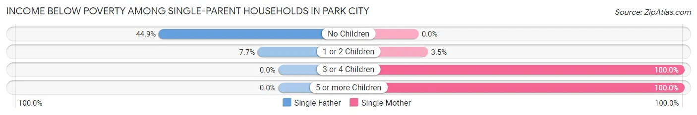 Income Below Poverty Among Single-Parent Households in Park City