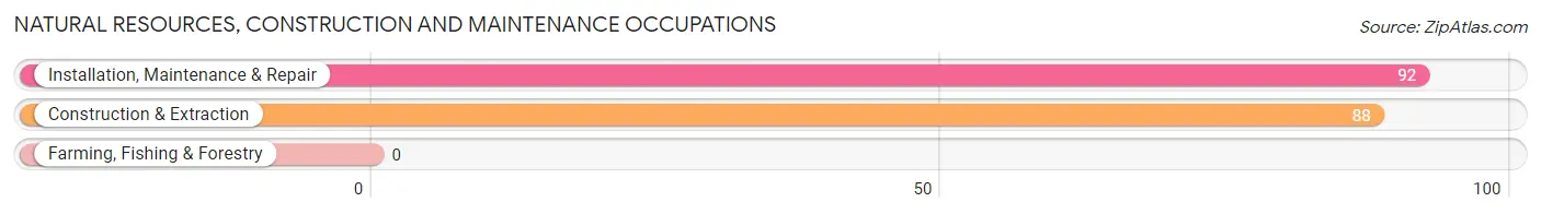 Natural Resources, Construction and Maintenance Occupations in Park City