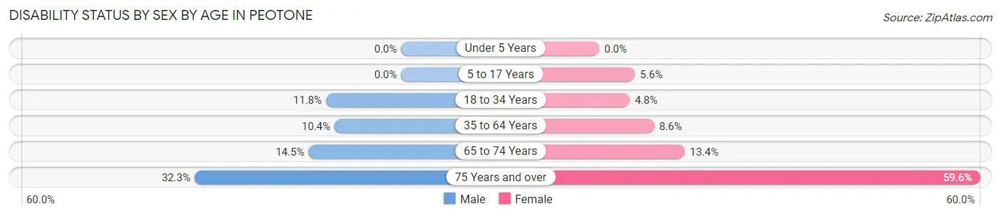 Disability Status by Sex by Age in Peotone